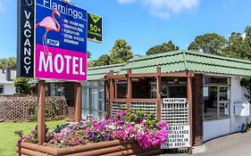 Flamingo Motel